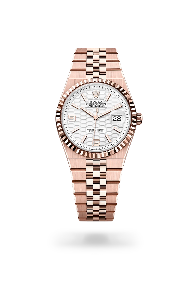 rolex Land-Dweller in 18 kt Everose gold, M127235-0001 - Clarkson Jewelers