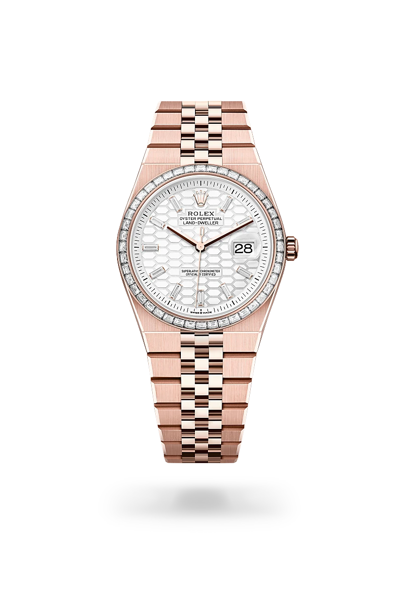 rolex Land-Dweller in 18 kt Everose gold, M127285TBR-0002 - Clarkson Jewelers