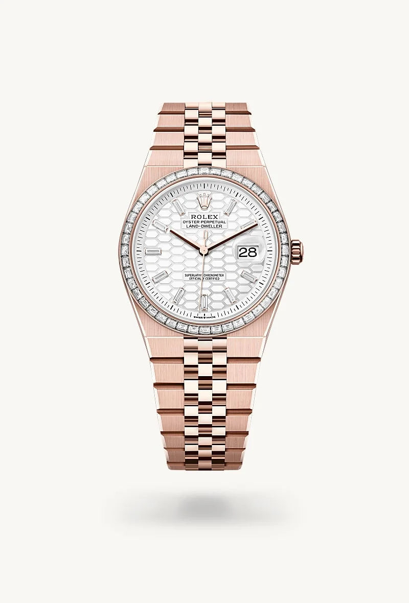 Rolex Land-Dweller in 18 kt Everose gold, M127285TBR-0002 - Clarkson Jewelers