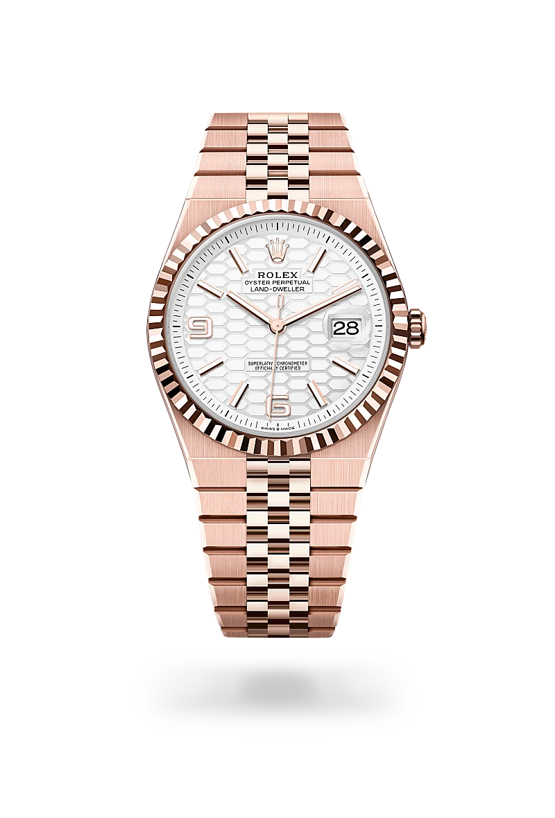 rolex Land-Dweller in 18 kt Everose gold, M127335-0001 - Clarkson Jewelers